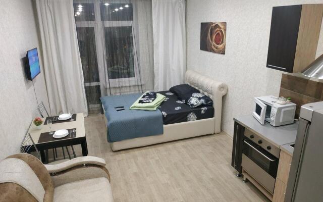 Апартаменты на переулке Переходный