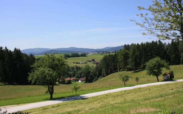 Beautiful Holiday Home in Viechtach With Views
