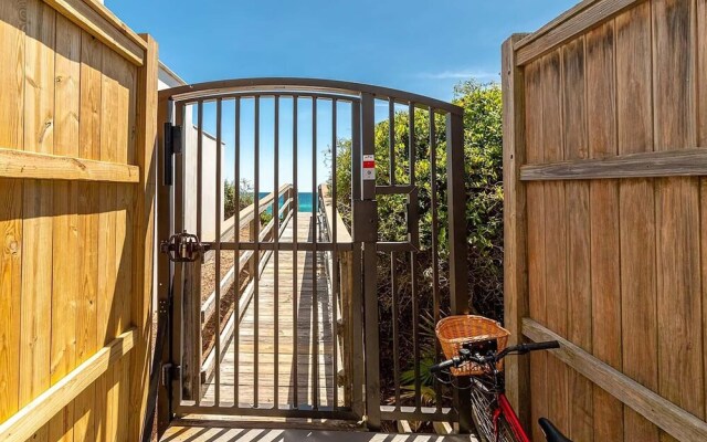 Waterhouse 204-daydream Believer