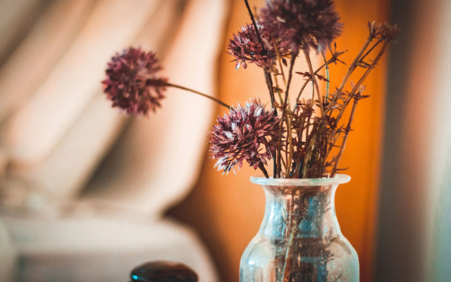 VILASIRA Rooms & Wines - Adults Only