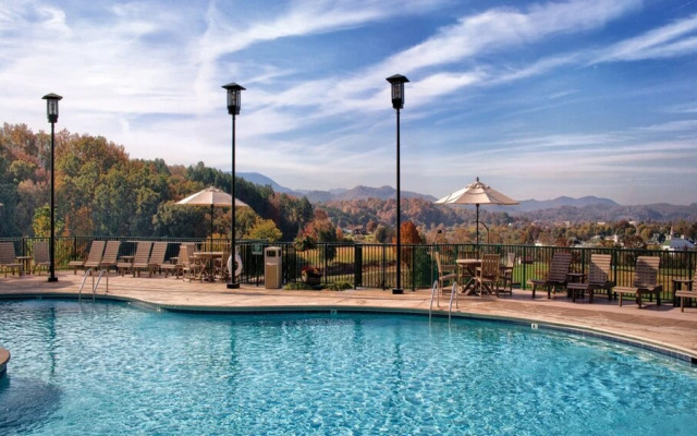 Smoky Mountains 1BD Deluxe
