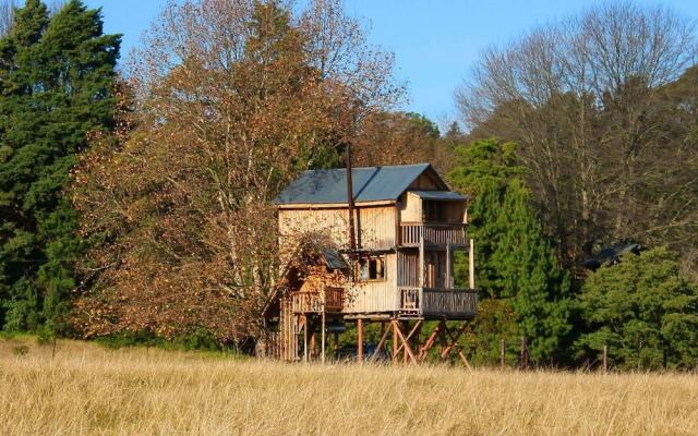 Sycamore Avenue Treehouses