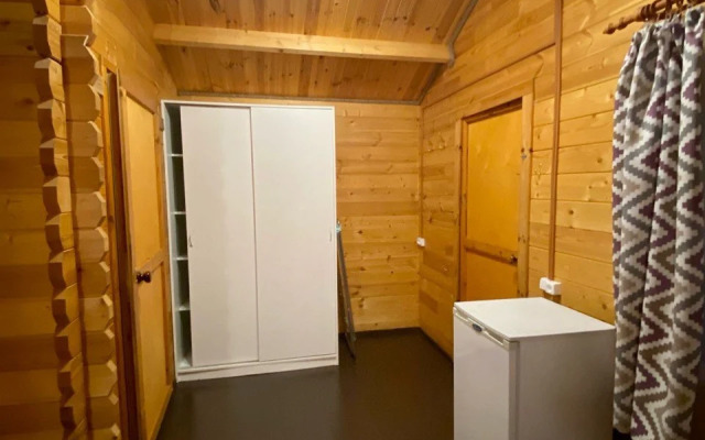 Mozaika (с. Лдзаа)