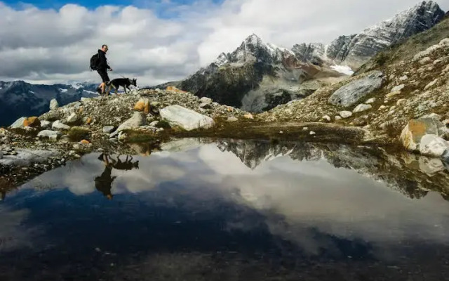 The Pines Bed & Breakfast