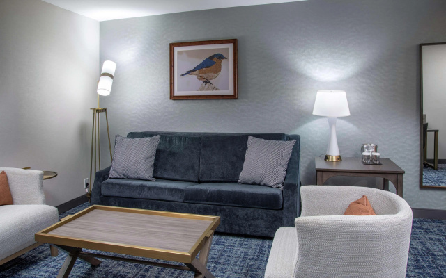 DoubleTree by Hilton Hot Springs - фото 5