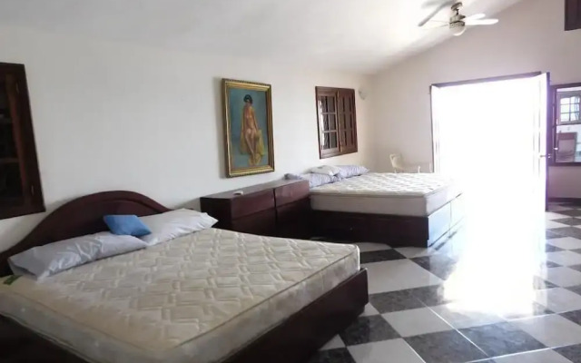 Oasis Apartments