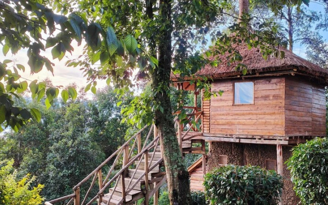 Agandi Uganda Eco-lodge