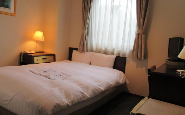 Hotel Green With