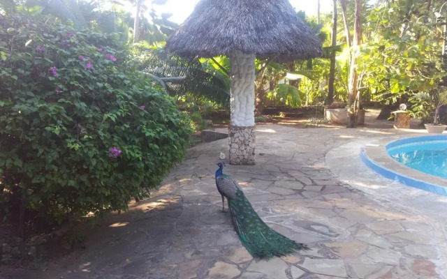 Dream of Africa Cottages Kanamai