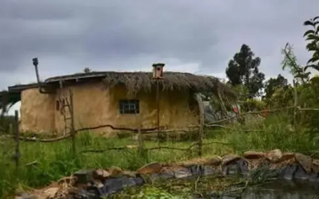 Hobbit House