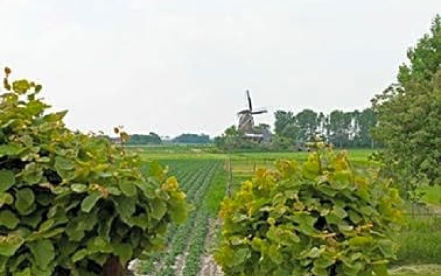B&B Lauwersstate