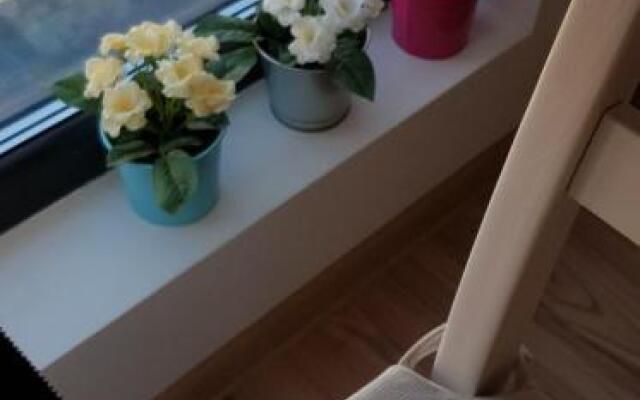 Studio Confort 3