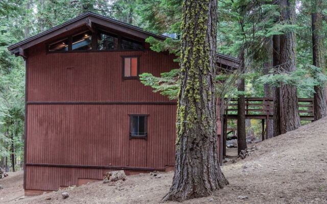 Rustic Modern Cabin in the Pines by RedAwning