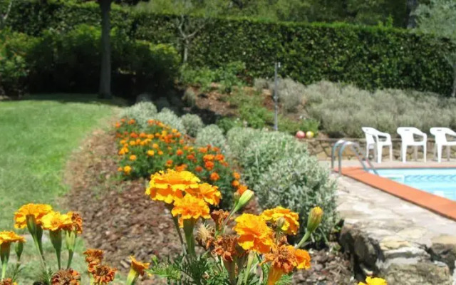 Agriturismo Podere Asciana di Alfiero Branchi