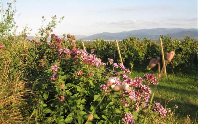 Zum Rebberg Ferienwohnungen