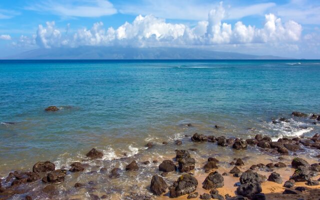 Mahina Surf