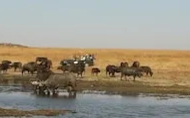 Nambiti Plains Private Game Lodge