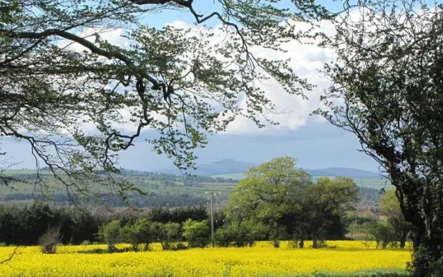 Moneylands Farm B&B & Self-Catering