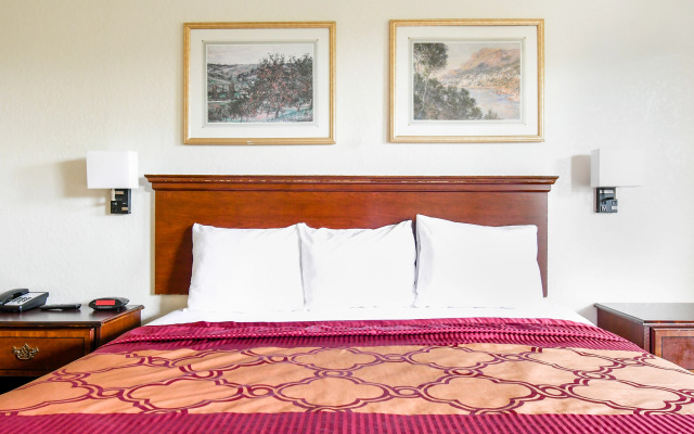 OYO Inn & Suites
