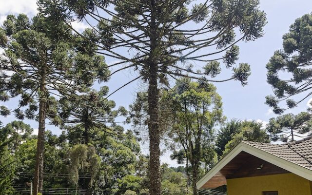 Tranquilidade, espaço gourmet e contato com a natureza