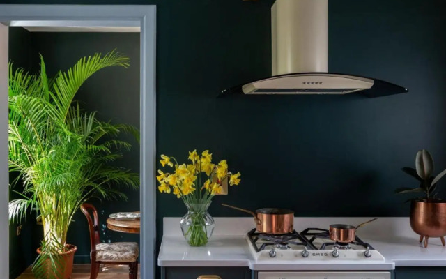 The Forest at Mount Congreve Gardens