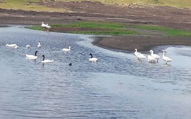 Estancia El Cangue