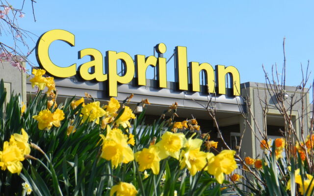 Capri Inn