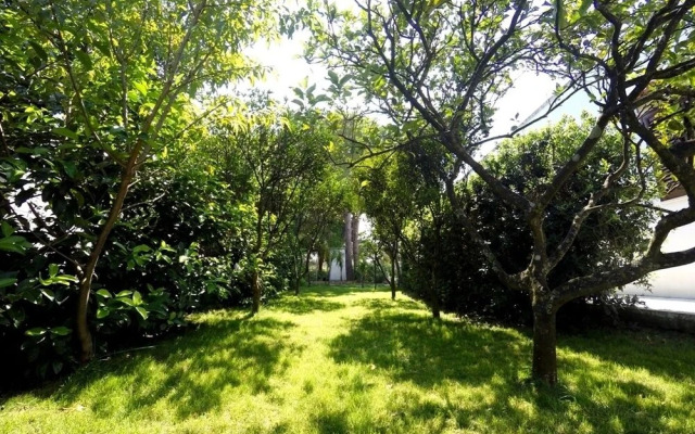 Terra Diletta B&B