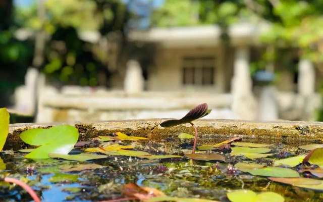 Nilupul Gardens
