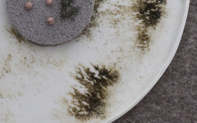 Terra - The Magic Place