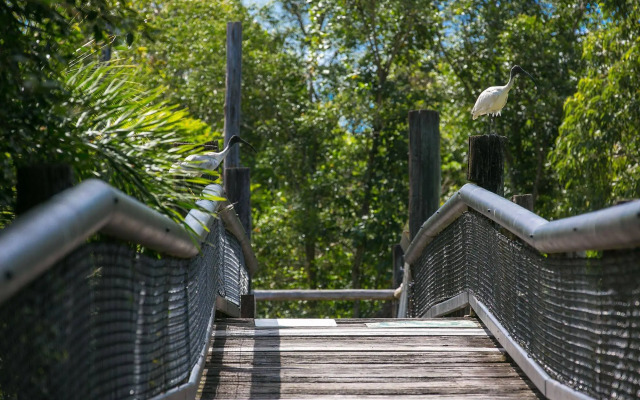 Daintree Wild Zoo & B&B