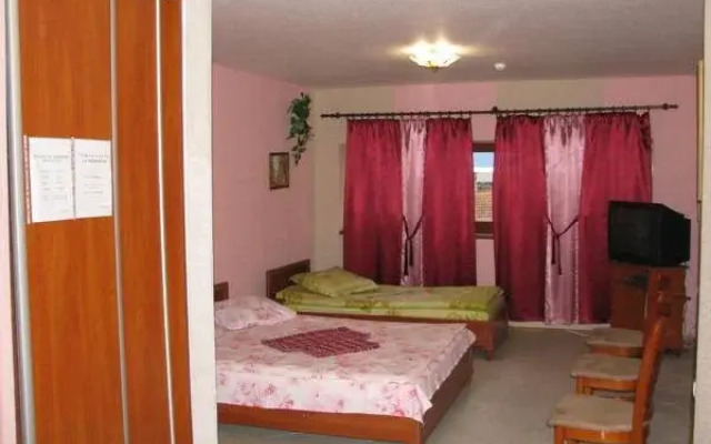 Hotel Virazh