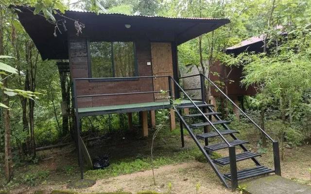 Wilderness camp Resort Pench
