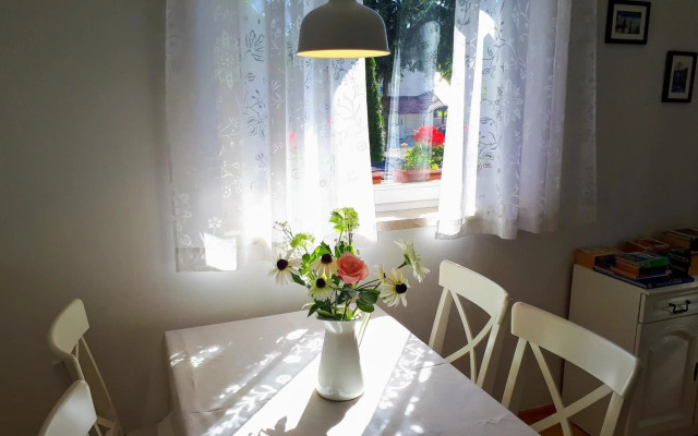 Apartment Villa Zizzy