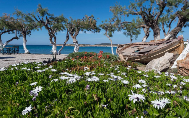 Hotel & Apartments Kalypso
