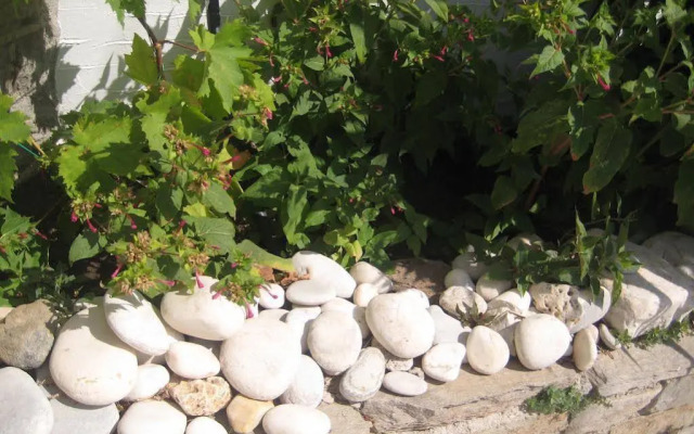 Paros Apartments