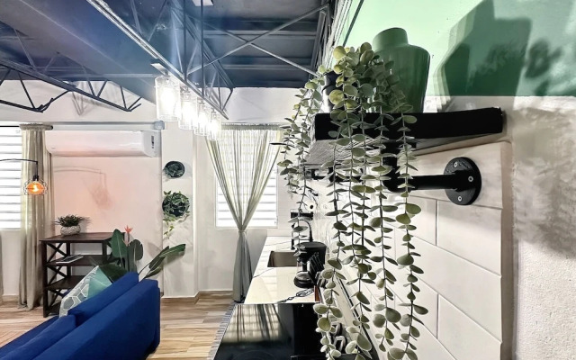 The Lofts At Santurce