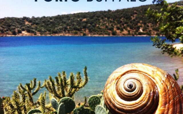Sea Front Studio - Porto Boufalo - Evia