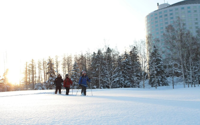 The Green Leaf Niseko Village