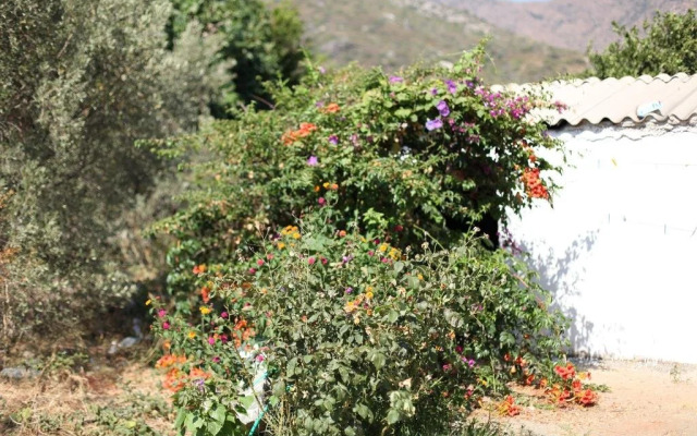 Serenity Pension