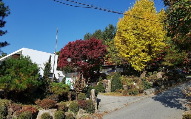 Gapyeong Solnanggu Pension