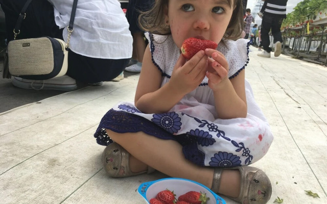 Abbey Road Inn Seika