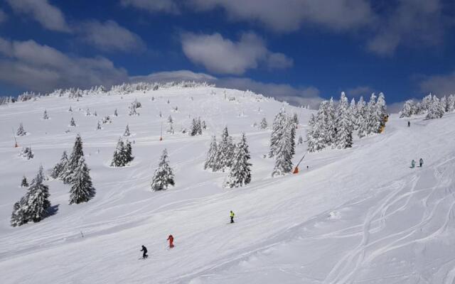 Kopaonik - Milmari P50 apartman sa garažom