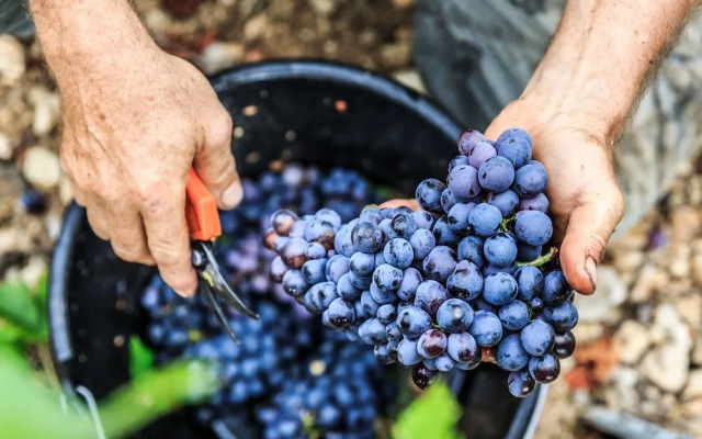 Les chambres du Château Rasque