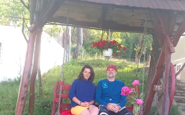 Room in Guest Room - Rural Holiday Transylvania