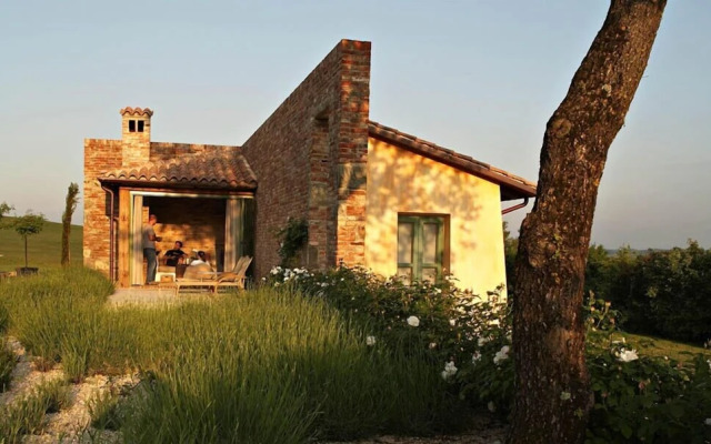 Verdidea - GALLO&GALLETTO