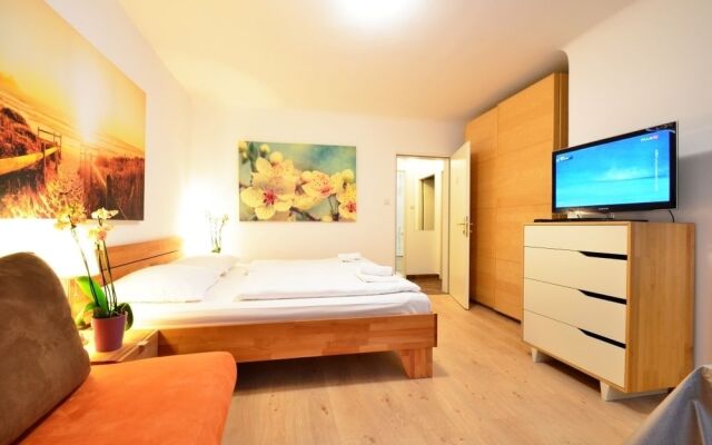Central Apartment