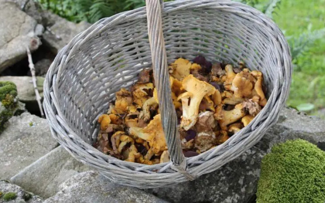 La Maison des Chazes