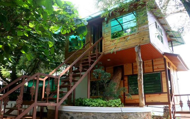 Spring Muunnar