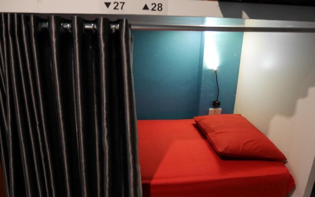 Sleepy Raccoon Hostel